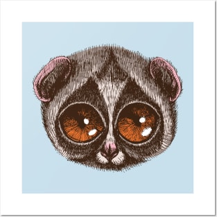 Slow Loris Posters and Art